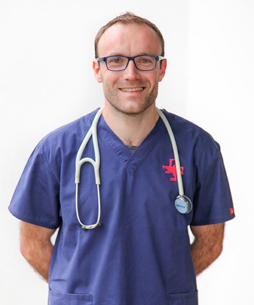 Dr Martin ROUMEGOUS
