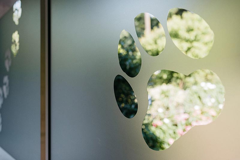 Bienvenue au Cabinet Vétérinaire de l'URSUYA