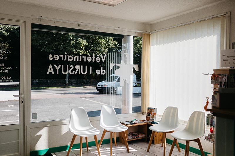 Bienvenue au Cabinet Vétérinaire de l'URSUYA
